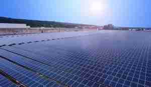 中美硅晶与CG电子光电携手战略合作