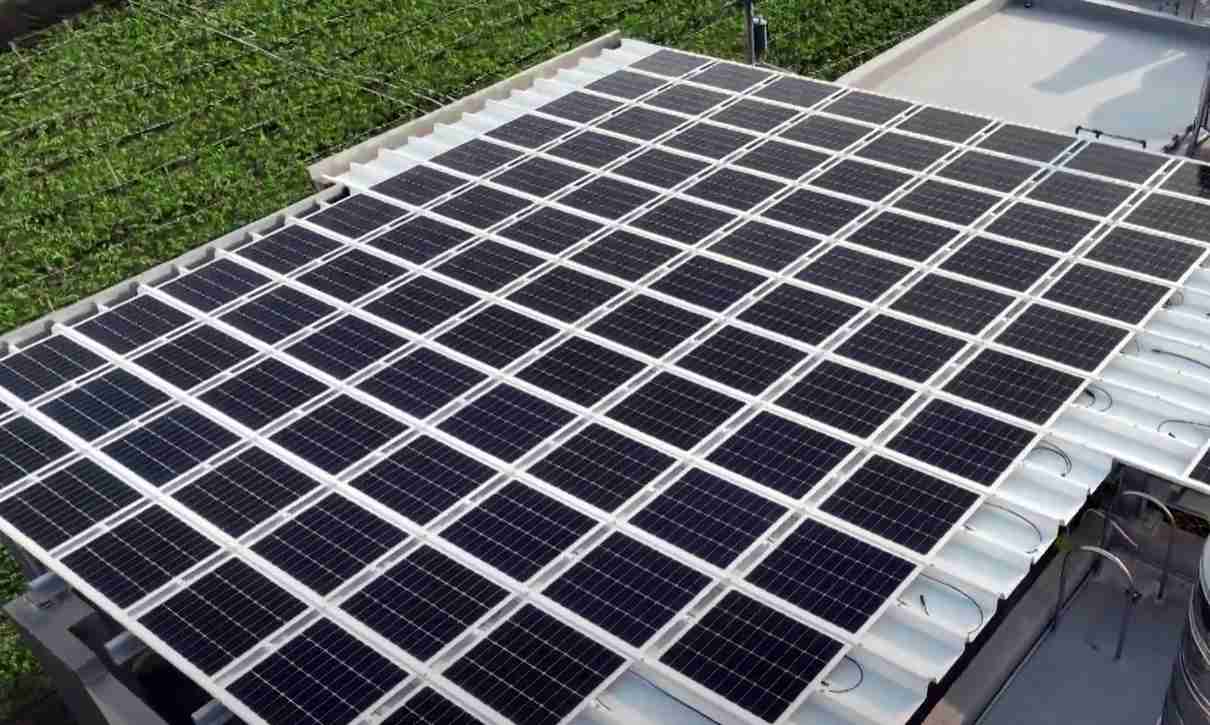 CG电子SunSteel光电浪板升级双玻结构，，以提升机械负载强度及气候耐候度，，可广泛运用于多元场域